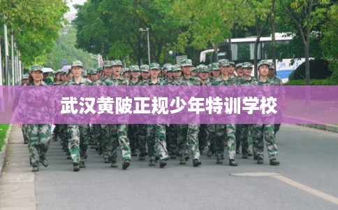 武汉黄陂正规少年特训学校 武汉黄陂正规少年特训学校