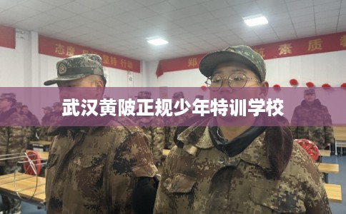 武汉黄陂正规少年特训学校 武汉黄陂正规少年特训学校