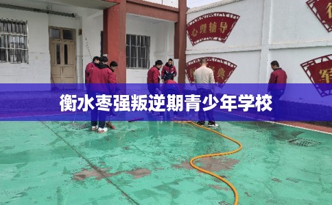 衡水枣强叛逆期青少年学校
