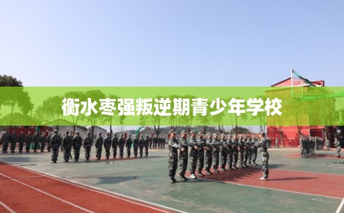 衡水枣强叛逆期青少年学校