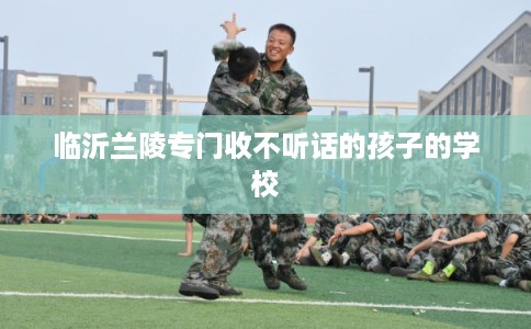 临沂兰陵专门收不听话的孩子的学校 临沂兰陵专门收不听话的孩子的学校
