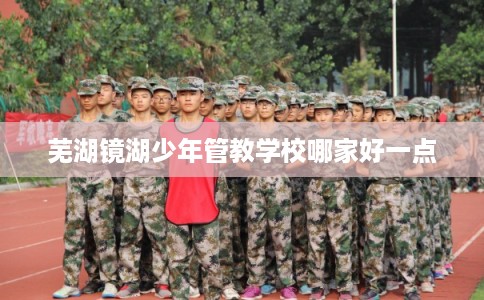 芜湖镜湖少年管教学校哪家好一点