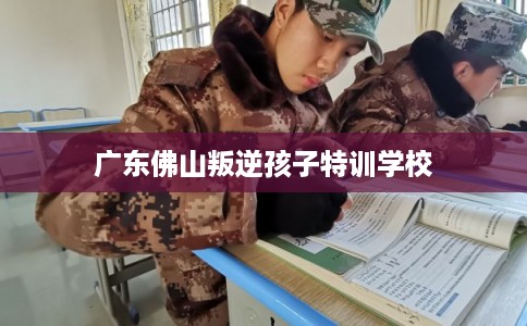 广东佛山叛逆孩子特训学校 广东佛山叛逆孩子特训学校