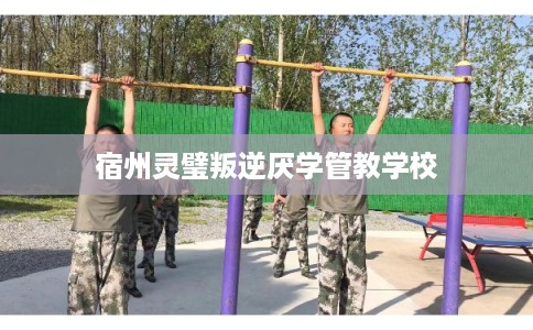 宿州灵璧叛逆厌学管教学校