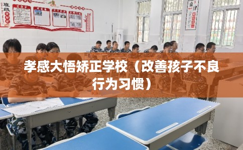 孝感大悟矫正学校（改善孩子不良行为习惯）