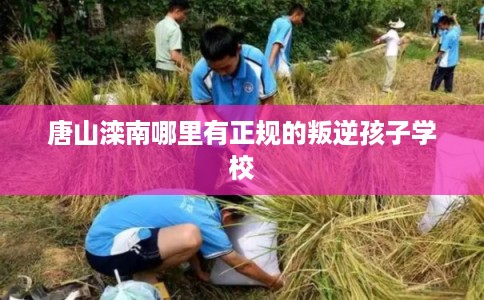 唐山滦南哪里有正规的叛逆孩子学校