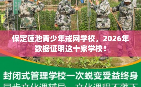 保定莲池青少年戒网学校，2026年数据证明这十家学校！