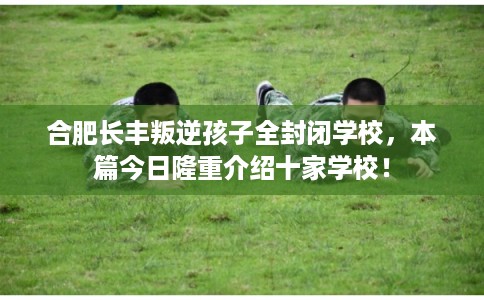 合肥长丰叛逆孩子全封闭学校，本篇今日隆重介绍十家学校！
