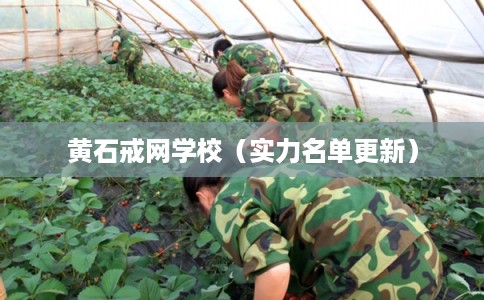 黄石戒网学校（实力名单更新）