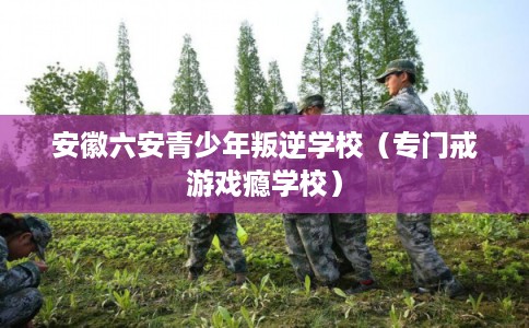 安徽六安青少年叛逆学校（专门戒游戏瘾学校）