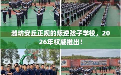 潍坊安丘正规的叛逆孩子学校，2026年权威推出！