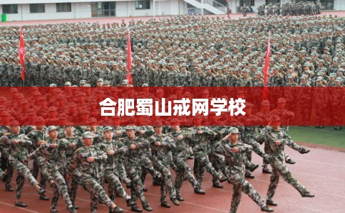 合肥蜀山戒网学校