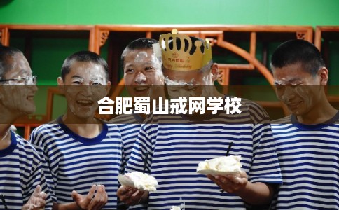 合肥蜀山戒网学校