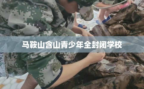 马鞍山含山青少年全封闭学校