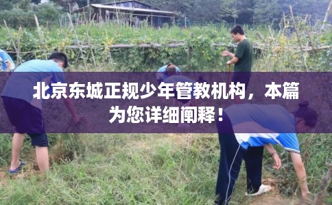 北京东城正规少年管教机构，本篇为您详细阐释！