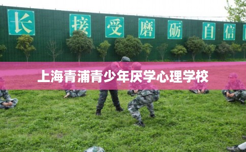 上海青浦青少年厌学心理学校