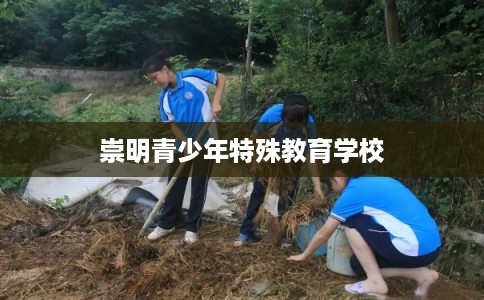 崇明青少年特殊教育学校