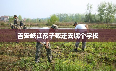 吉安峡江孩子叛逆去哪个学校