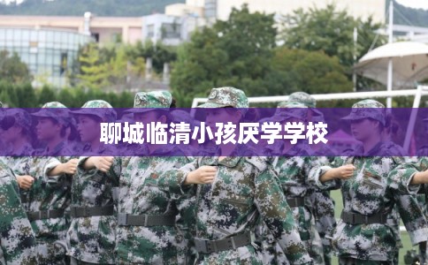 聊城临清小孩厌学学校