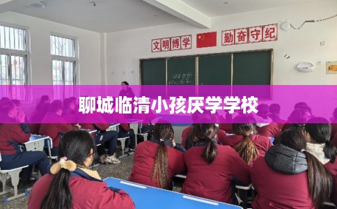 聊城临清小孩厌学学校