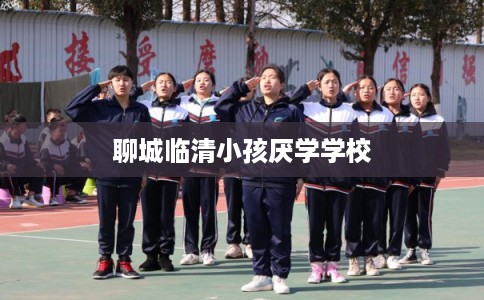 聊城临清小孩厌学学校