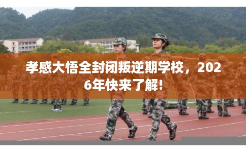 孝感大悟全封闭叛逆期学校，2026年快来了解!