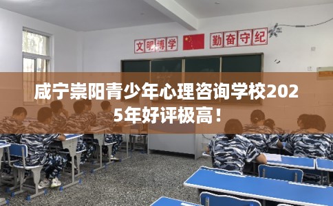 咸宁崇阳青少年心理咨询学校2025年好评极高！