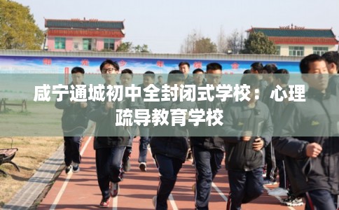 咸宁通城初中全封闭式学校：心理疏导教育学校
