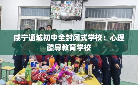 咸宁通城初中全封闭式学校：心理疏导教育学校