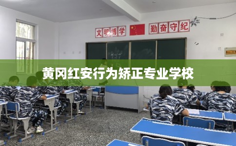 黄冈红安行为矫正专业学校
