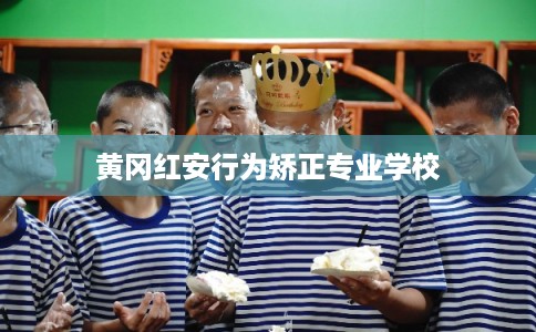 黄冈红安行为矫正专业学校