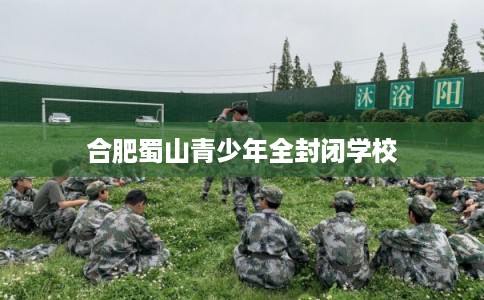 合肥蜀山青少年全封闭学校 合肥蜀山青少年全封闭学校