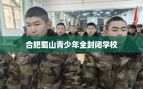 合肥蜀山青少年全封闭学校 合肥蜀山青少年全封闭学校