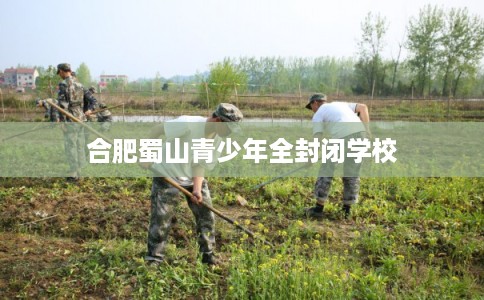 合肥蜀山青少年全封闭学校 合肥蜀山青少年全封闭学校