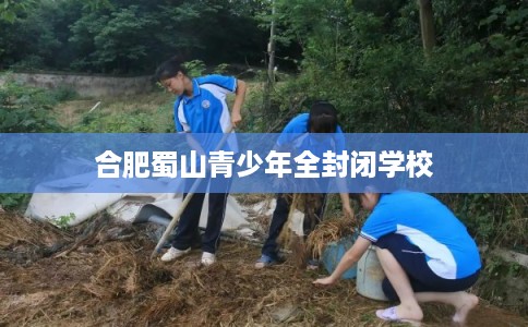 合肥蜀山青少年全封闭学校