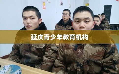 延庆青少年教育机构