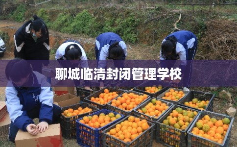 聊城临清封闭管理学校