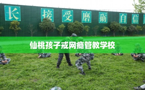 仙桃孩子戒网瘾管教学校