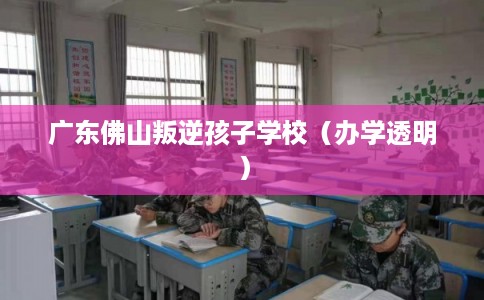 广东佛山叛逆孩子学校（办学透明）