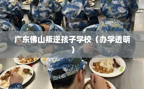 广东佛山叛逆孩子学校（办学透明）