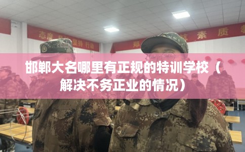 邯郸大名哪里有正规的特训学校（解决不务正业的情况）