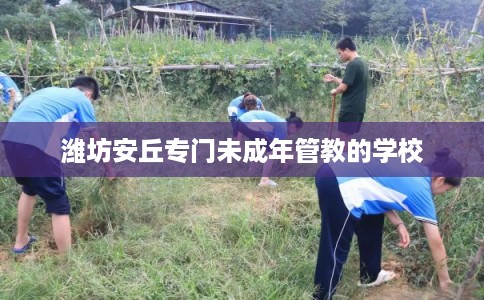 潍坊安丘专门未成年管教的学校