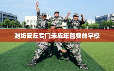 潍坊安丘专门未成年管教的学校