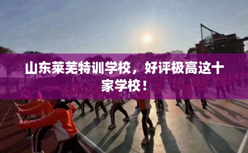 山东莱芜特训学校，好评极高这十家学校！