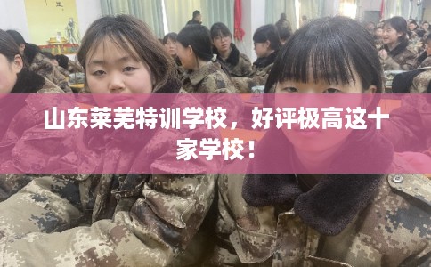 山东莱芜特训学校，好评极高这十家学校！