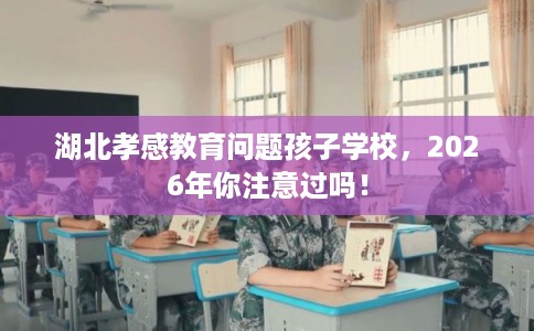 湖北孝感教育问题孩子学校，2026年你注意过吗！