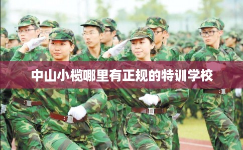 中山小榄哪里有正规的特训学校