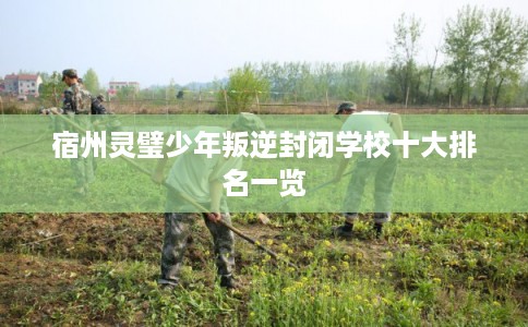 宿州灵璧少年叛逆封闭学校十大排名一览