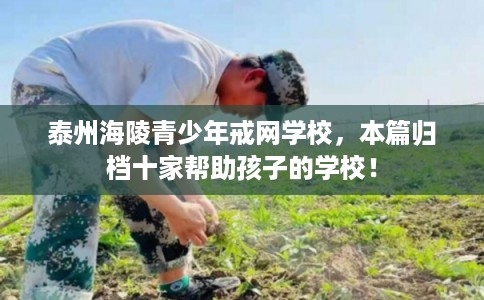 泰州海陵青少年戒网学校，本篇归档十家帮助孩子的学校！