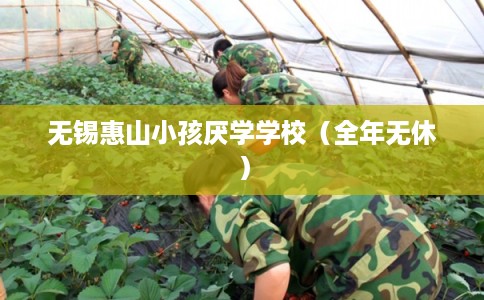 无锡惠山小孩厌学学校（全年无休）